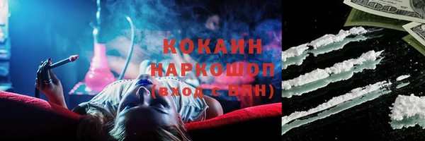 PSILOCYBIN Михайлов