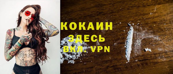 PSILOCYBIN Михайлов