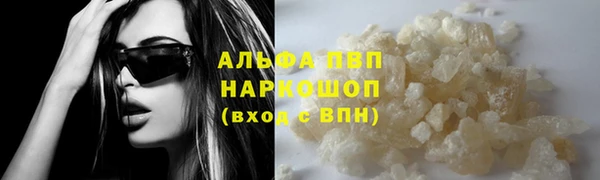 стаф Алексин