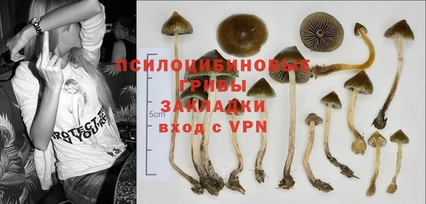 PSILOCYBIN Михайлов