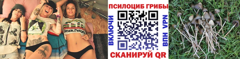 MEGA вход  Выкса  Галлюциногенные грибы мицелий 