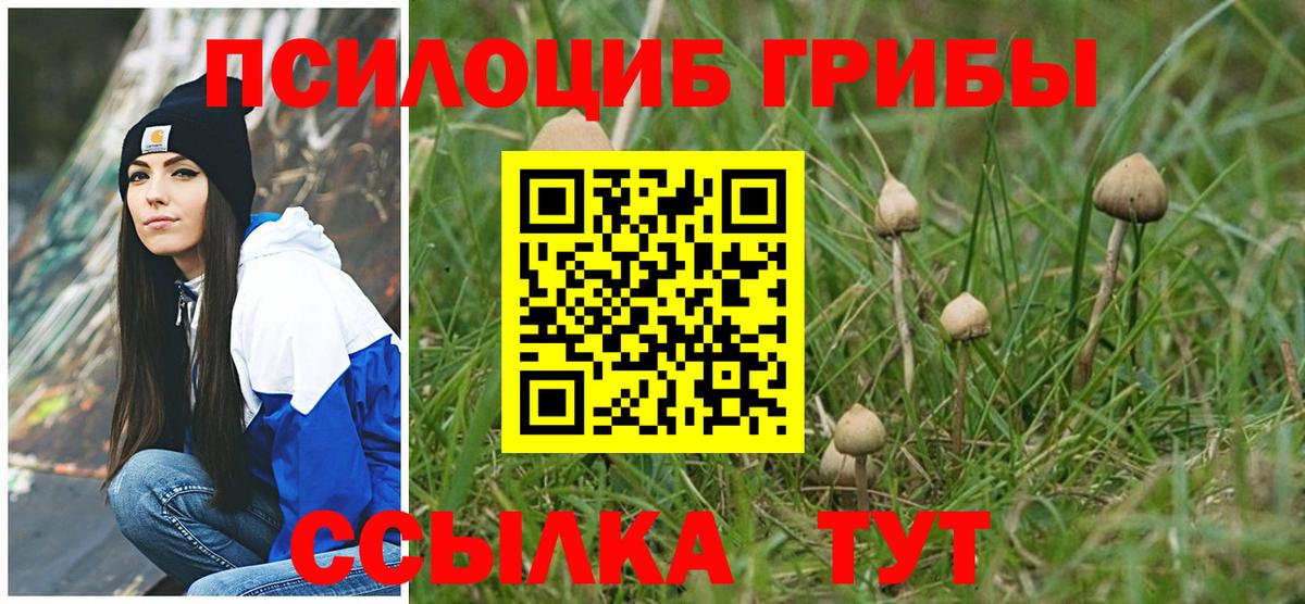 Галлюциногенные грибы Psilocybe  Выкса 