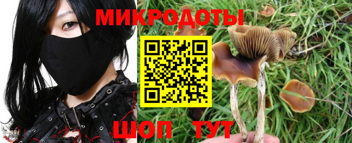 Выкса  Псилоцибиновые грибы прущие грибы  как найти наркотики  Вход с VPN 