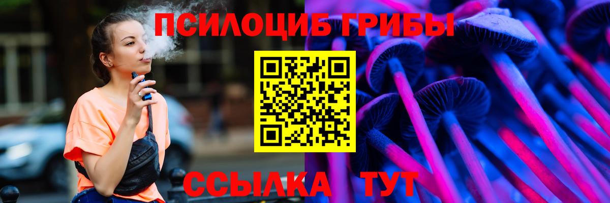 Псилоцибиновые грибы Psilocybine cubensis Выкса